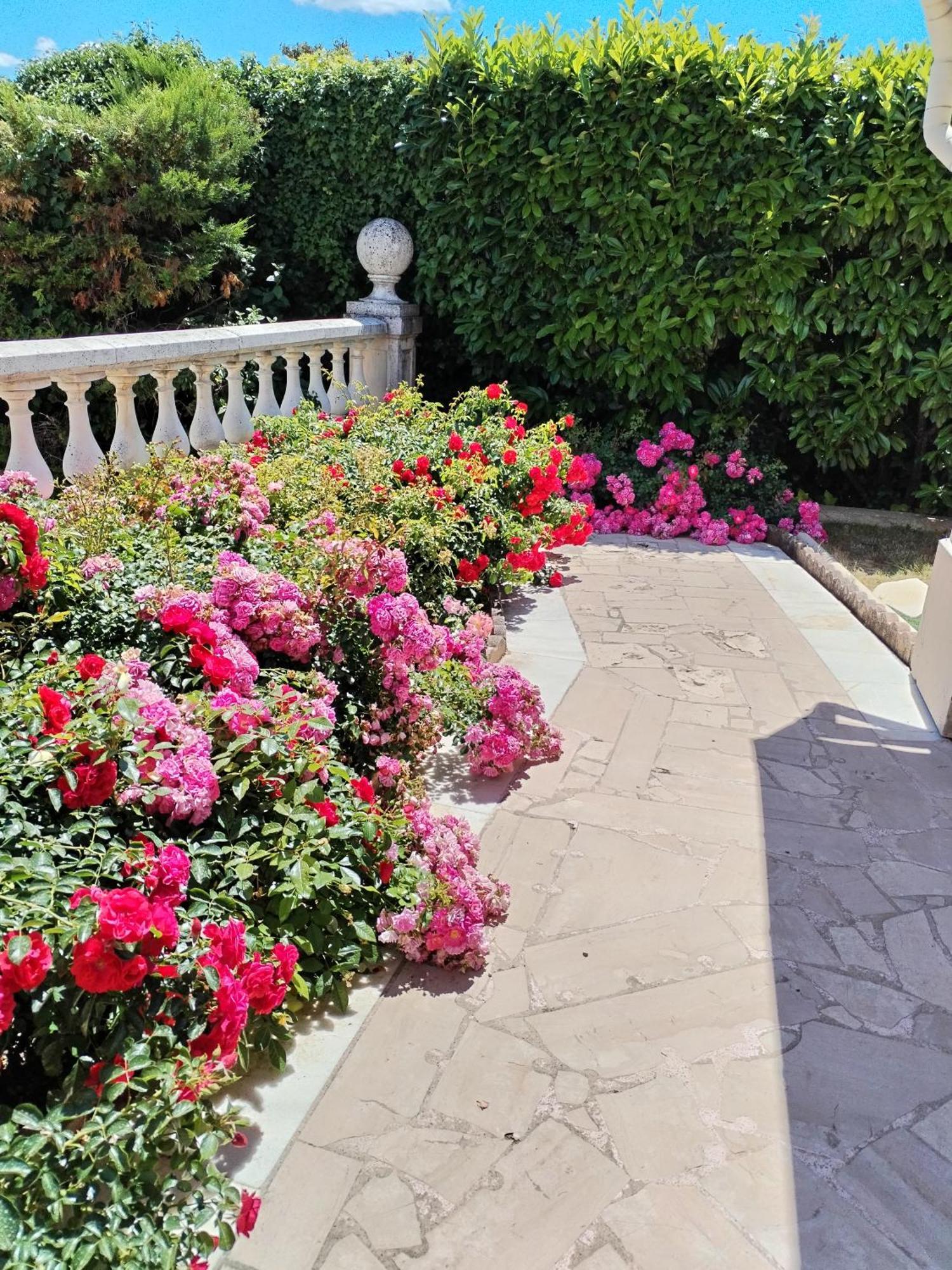 La Villa Des Ames Liees Ντραγκινιάν Εξωτερικό φωτογραφία